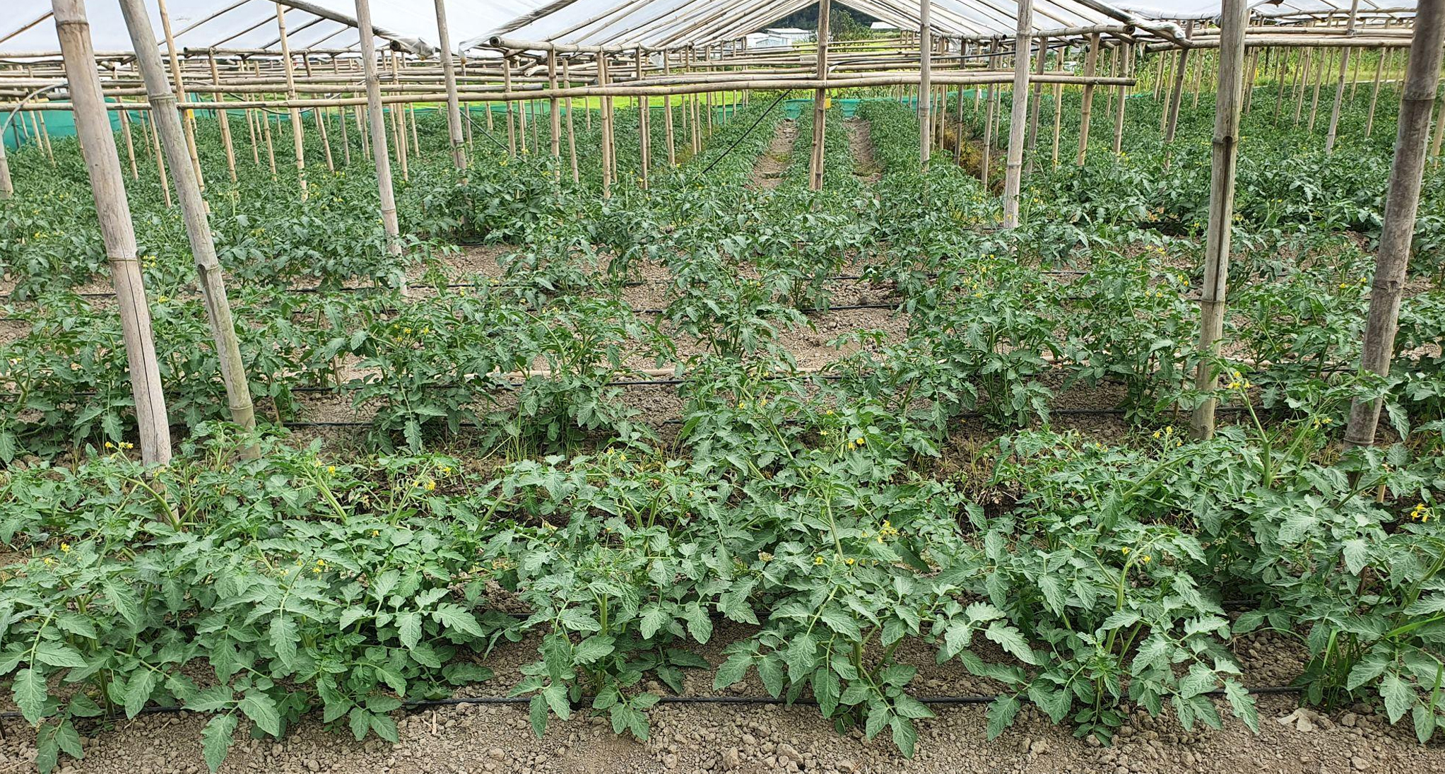 Approved farm project