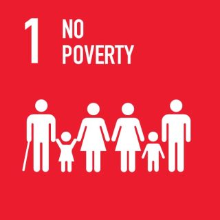 SDG 1