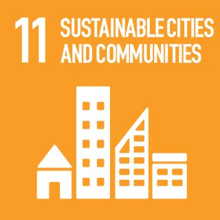SDG 11