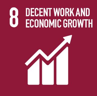 SDG 8