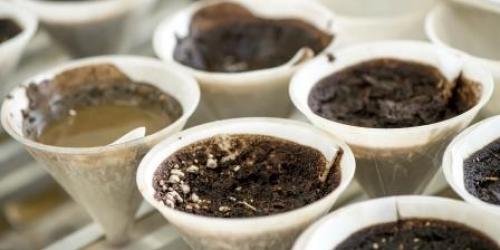 Soil sample cups prepared for analysis