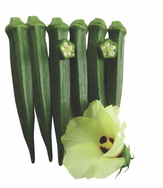 Okra