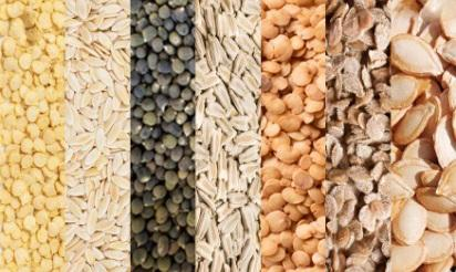 Premium seeds