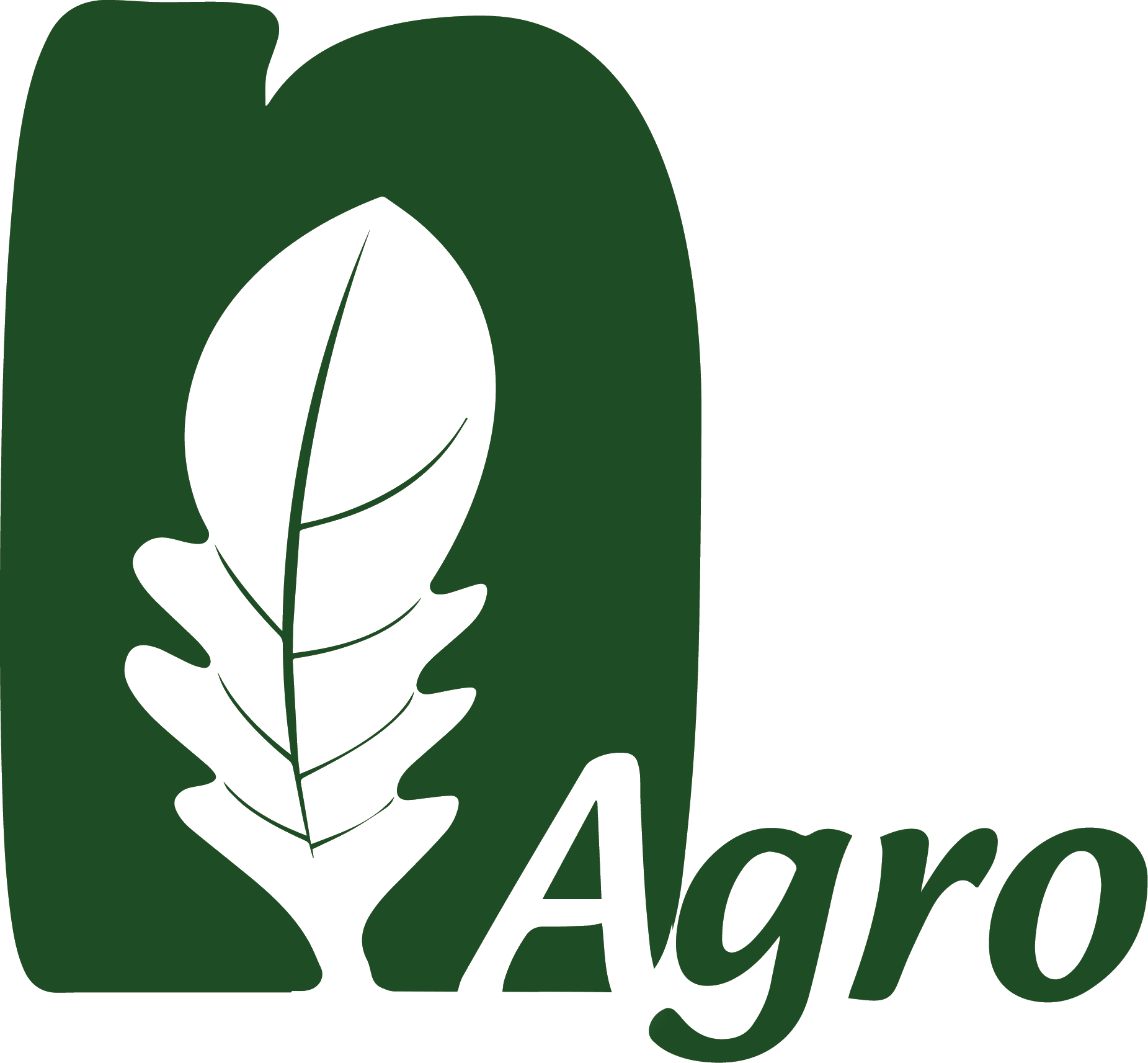N Agro Logo